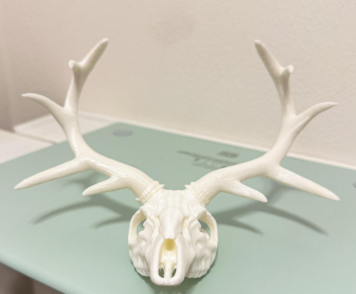 3D Printed Deer Skull