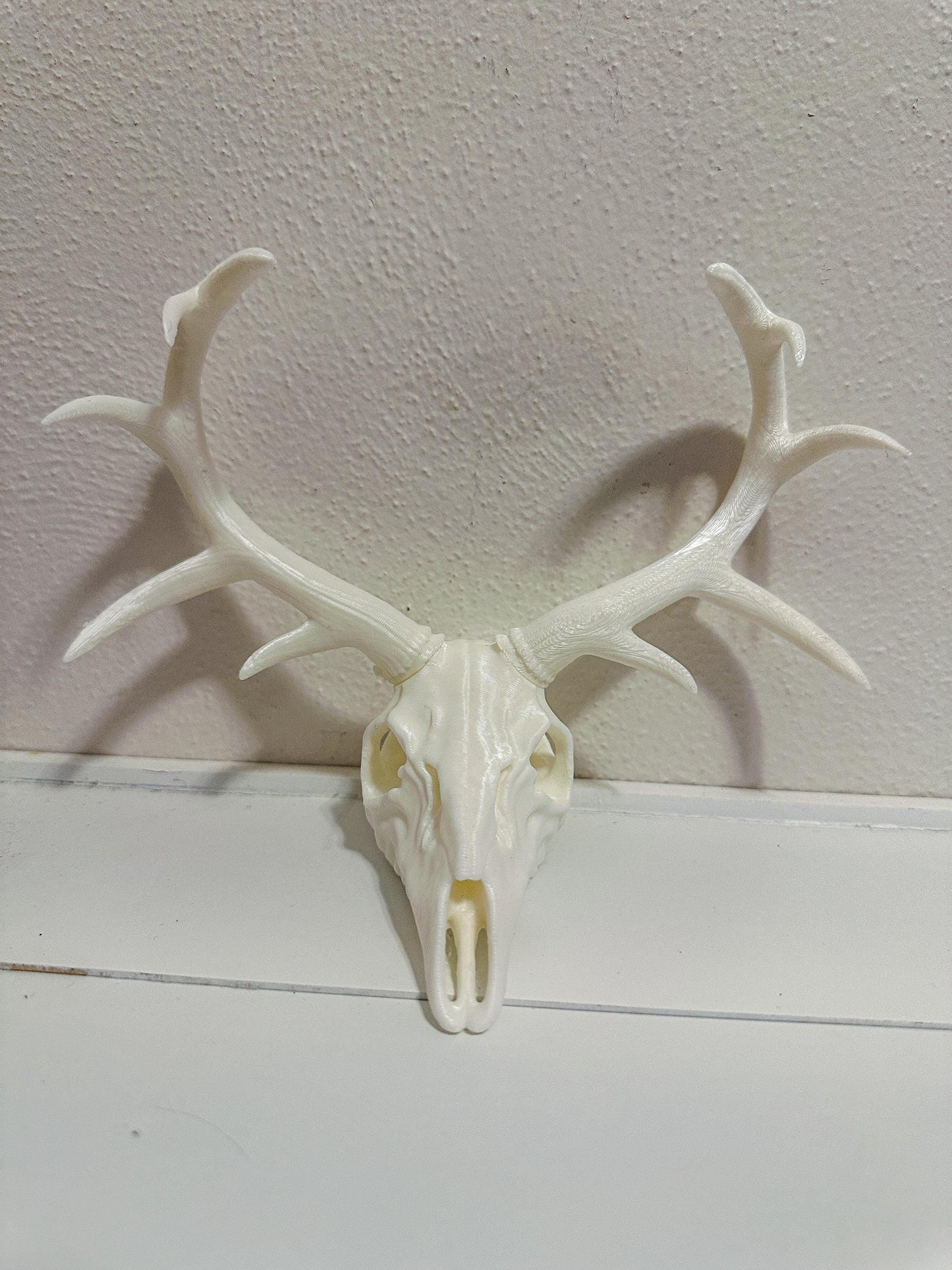 3D Printed Deer Skull