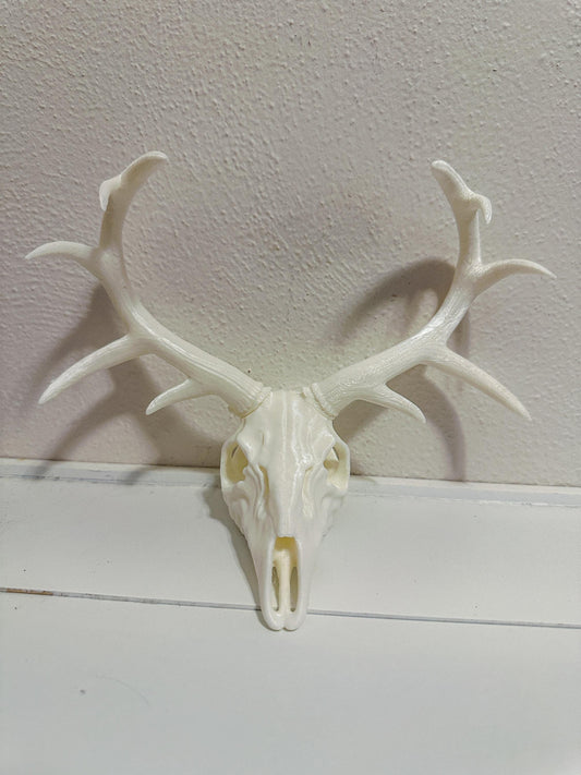 3D Printed Deer Skull