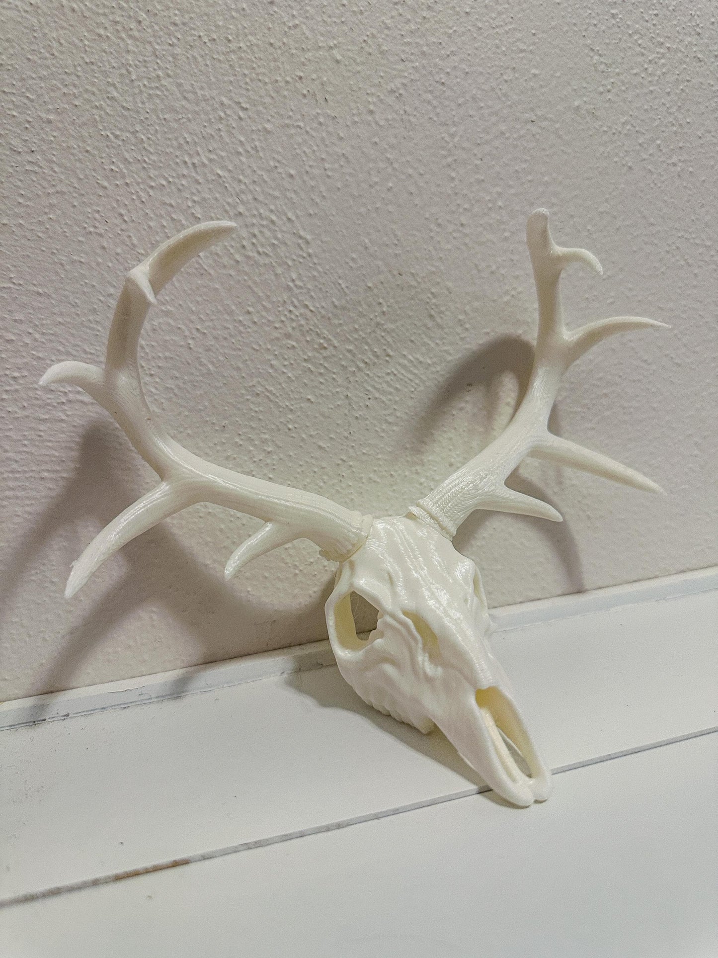 3D Printed Deer Skull